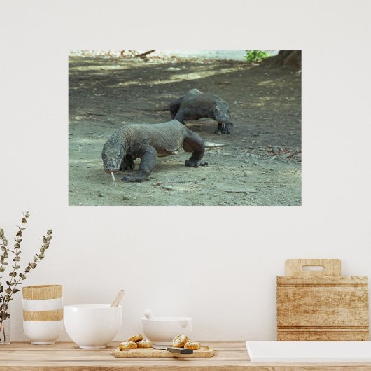 コモド・ドラゴンズ ポスター (キッチン)