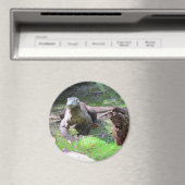 コモド・ドラゴンマグネット マグネット (インサイチュ (食洗機))