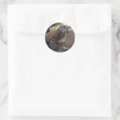 コモド・ドラゴン舐め ラウンドシール (バッグ)