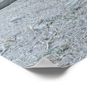 コモド・ドラゴン ポスター (角)