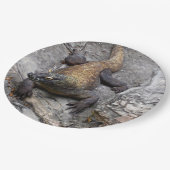 コモド ペーパープレート (アングル)