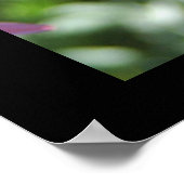 コモパークバタフライ ポスター (角)