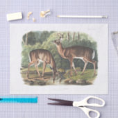 コモンまたはバージニアの鹿デコパージュヴィンテージ 薄葉紙 (クラフト)