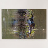 コモンゴルデンアイアヒル ジグソーパズル (横)