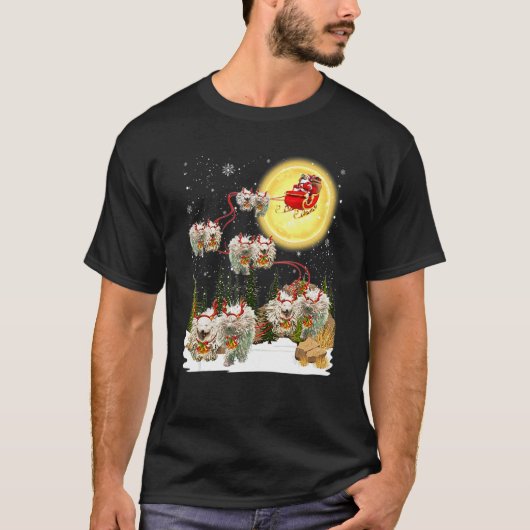 コモンドソリクリスマス装飾サンタクロースXm Tシャツ (正面)