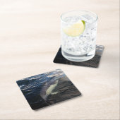 コモンドルフィンスイミングコースター スクエアペーパーコースター (インサイチュ)