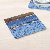 コモンドルフィンポーズコースター スクエアペーパーコースター (アングル)