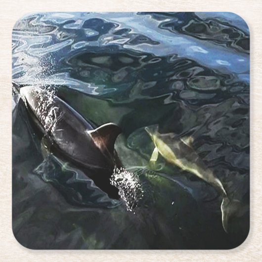 コモンドルフィンムームとベビーコースター スクエアペーパーコースター (正面)