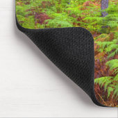 コモンブラッケン(Pteridium Aquilinum)の生育 マウスパッド (コーナー)