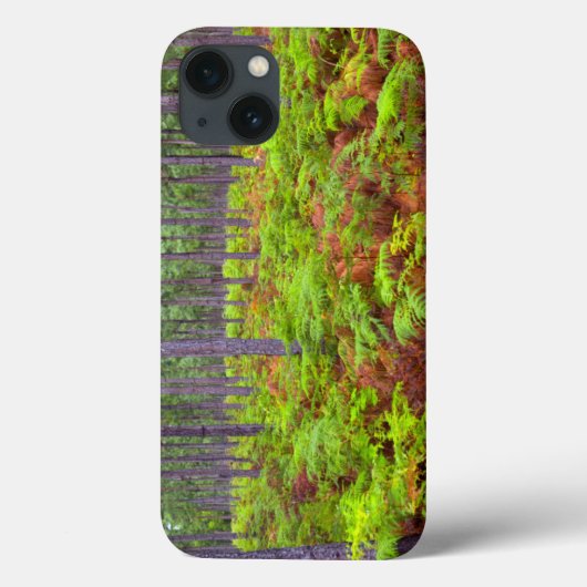 コモンブラッケン(Pteridium Aquilinum)の生育 Case-Mate iPhoneケース (裏面)