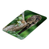 コモンポウトスモール磁石 マグネット (左側)