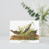 コモンレール ポストカード (スタンド正面)