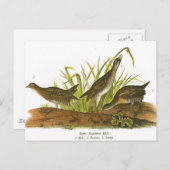 コモンレール ポストカード (正面/裏面)