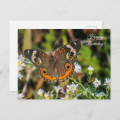 コモン蝶ハッピーバースデー葉書 ポストカード (正面/裏面)