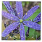 コモン青カマスフローラ タイル (正面)