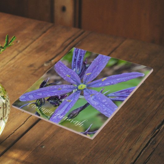 コモン青カマスフローラ タイル