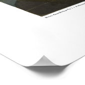 コモン・アメリカン・スワン、プレート411 – オードボン ポスター (角)