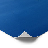 コモン・イルカ ポスター (角)