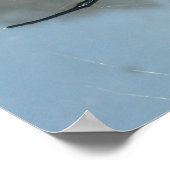 コモン・ガーデン・スパイダー ポスター (角)