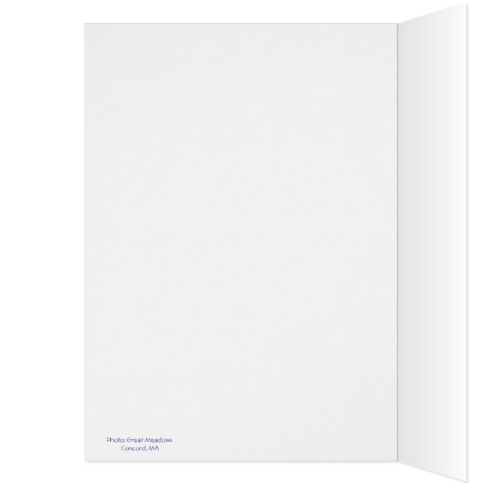 コモン・ギャックル (内側 (左))