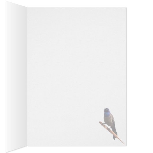 コモン・ギャックル (内側 (右))