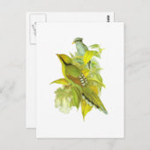 コモン・グリーン・マグピー ポストカード (正面/裏面)