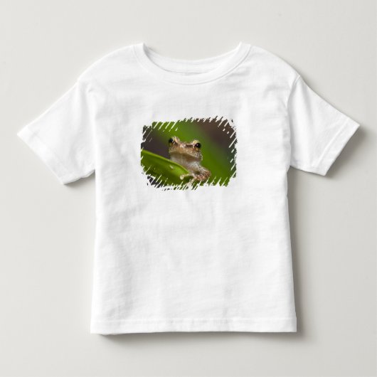 コモン・コキ トドラーTシャツ (正面)