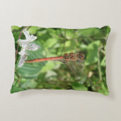 コモン・ダーター・ドラゴンフライ枕 アクセントクッション (裏面)