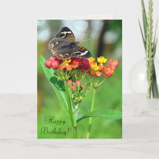 コモン・バッキーバタフライSIL誕生日・カード カード (正面)