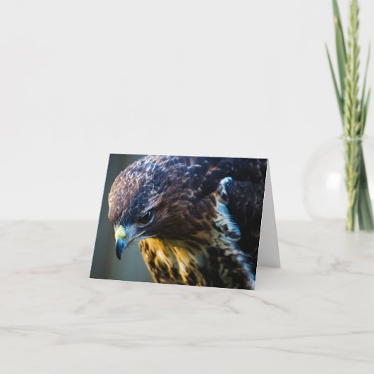 コモン・バーザードのグリーティングカード カード (正面)