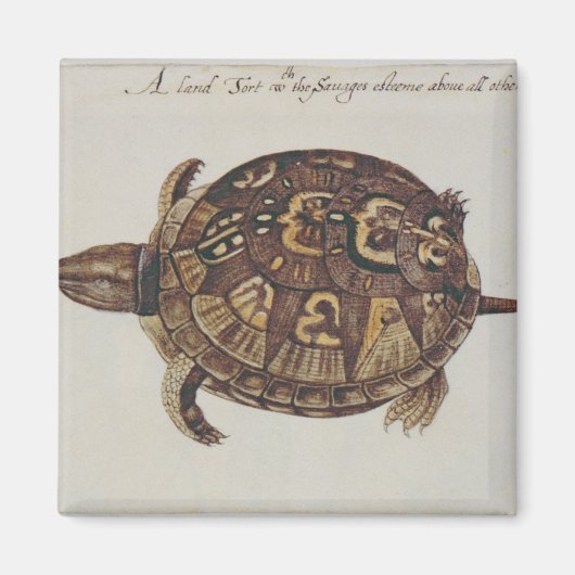 コモン・ボックス・カメ マグネット (正面)