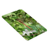 コモンDarterトンボFlexiマグネット マグネット (右側)