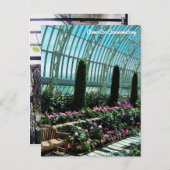 コモ動物園 ポストカード (正面/裏面)