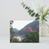 コモ湖上空のピンク色の花 ポストカード (スタンド正面)