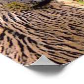 「コモ・セ・ラマ?」 ポスター (角)