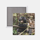 コヤ磁石 マグネット (正面/裏面)