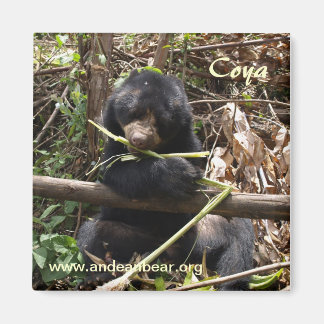 コヤ磁石 マグネット