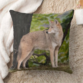 コヨテかわいらし クッション (ブランケット)