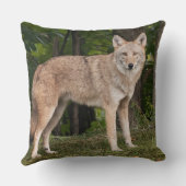 コヨテかわいらし クッション (裏面)