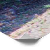 コヨーテが道に沿って立つ ポスター (角)