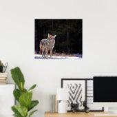 コヨーテのポスターまたはプリント ポスター (ホームオフィス)