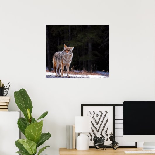 コヨーテのポスターまたはプリント ポスター (ホームオフィス)