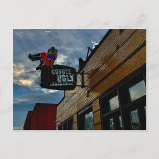 コヨーテの醜い ポストカード