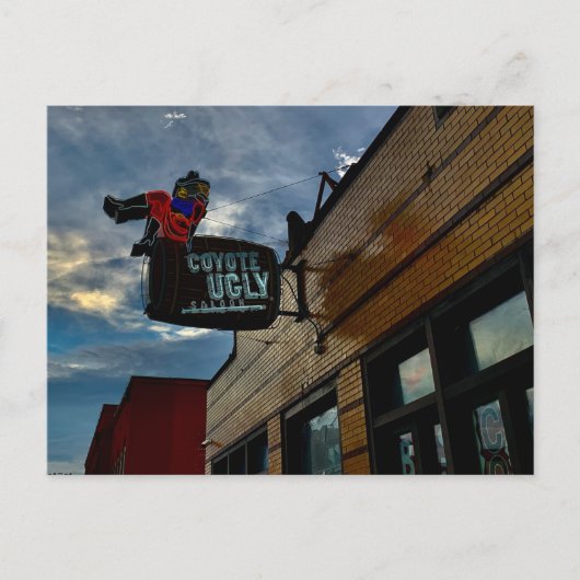 コヨーテの醜い ポストカード (正面)