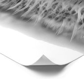 コヨーテの頭の肖像画 アート ブラック＆ホワイト ポスター (角)