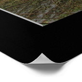 コヨーテクリーク雨天日 ポスター (角)