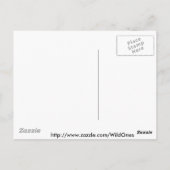 コヨーテハウリングアットザブルームーン ポストカード (裏面)