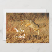 コヨーテブラウンオータムングラスフォト誕生日 招待状 (正面)