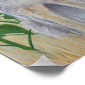 コヨーテポスター ポスター (角)