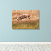 コヨーテリーピング – ギブボンメドウズ キャンバスプリント (インサイチュ (ウッドフロア))